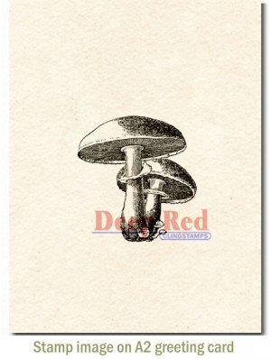 Deep Red Stamps - Cling Mounted Rubber Stamp - Mushrooms