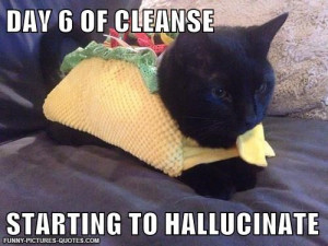 Put Down the Hot Sauce Human