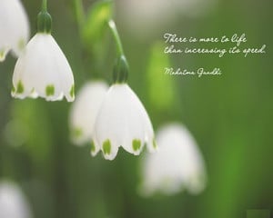 More Inspirational Quotes by Mahatma Gandhi