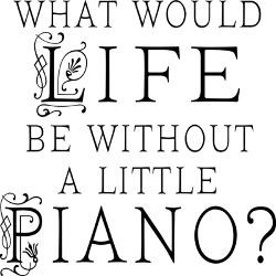 piano_quote_stainless_steel_water_bottle.jpg?height=250&width=250 ...