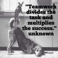 ... quote teamwork divid post quot dog teamwork quotes team success quotes
