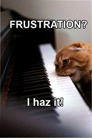 Frustration Cat - I Haz It Reviewed by Black on Friday, June 24, 2011 ...