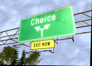 Choosing The Right Dog For You