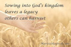 spiritual harvest is a year-round celebration! @MarisaShadrick Blog ...