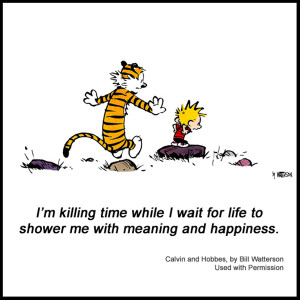 Calvin And Hobbes Quotes On Happiness 17046 just feel free and have ...