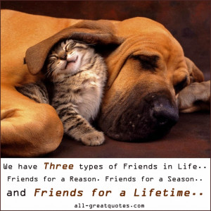 Picture Quotes) We have Three types of Friends in Life.. Friends ...