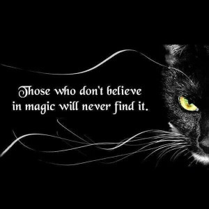 Pinned by Aneta Berrea