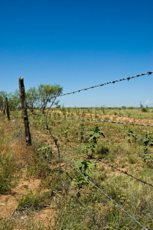 Fencing Tools – Barbed Wire Fence: Building a Better Fence