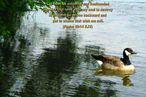 Inspirational Wallpapers Bible Verses Photo 34 of 53
