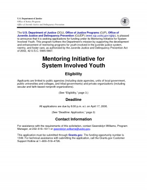 Sample Of Federal Grant Budget For Youth Mentoring picture