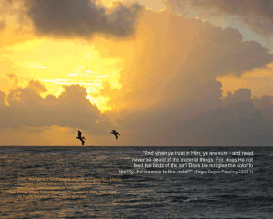 Sunrise and Two Pelicans, Copyright (c) 2008 Miriam H. Balsley
