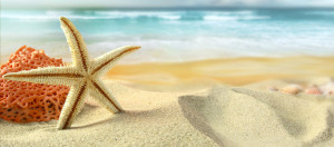 Starfish And beach Sand