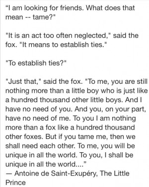 My favorite quote from *The Little Prince* by Antoine de Saint-Exupery