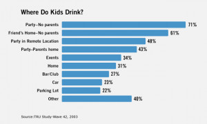 Underage Drinking – What A Parent Can Do To Stop It