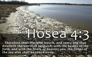 Bible Verse Hosea Religion 1920x1200 hdw.eweb4.com