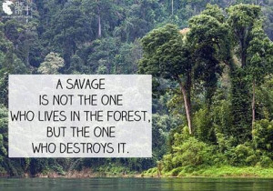 Savage is not the one who lives in the Forest...