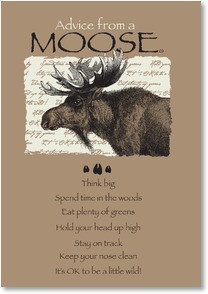 Blank Card with Quote / Saying - Advice from a MOOSE | Your True ...