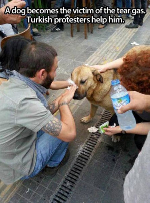 10 Heartwarming Photos Of People Helping Animals That Will Restore ...