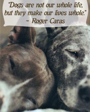 Animal banner quotes