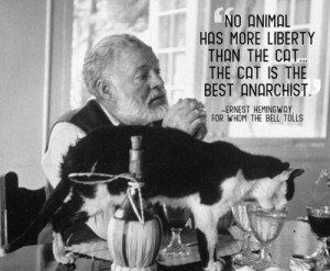 Cat quotes Hemingway