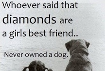 Quotes & Sayings / by 4 Luv of Dog Rescue