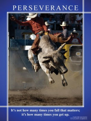 Bull Riding Sayings Positive quotes