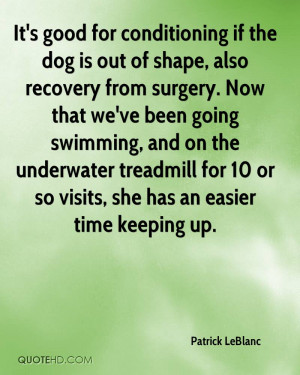 for-conditioning-if-the-dog-is-out-of-shape-also-recovery-from-surgery ...
