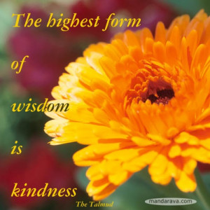 ... Quotes – The Highest Form of Wisdom is Kindness – The Talmud