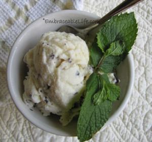 Mint Chocolate Chips