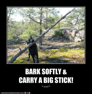 advice,bark,big,carry,famous,quote,reinterpretation,softly,stick,teddy ...