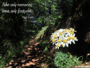 May your trails be crooked, winding, lonesome, dangerous, leading to ...