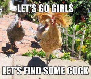 Let’s Go Girls Let’s Find Some Cock