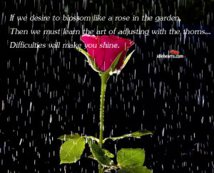 If We Desire To Blossom Like A Rose In The Garden, Then We…, Art ...
