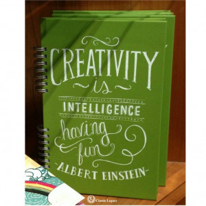 Creativity is Intelligence having fun