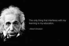 Albert Einstein Education Quotes