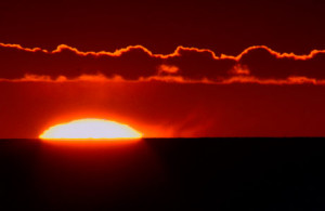 Leave a Reply Cancel reply