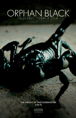 ... tatiana maslany clone club obtumblr Ari Millen mark rollins pupok