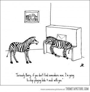 funny-zebra-play-hide-and-seek-piano