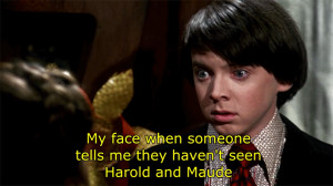 Harold and Maude Gif by catstolethecrown