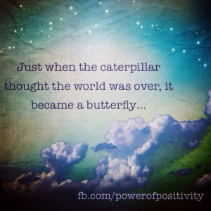 caterpillar & butterfly