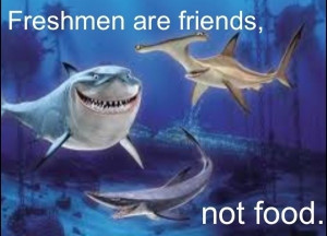 Finding Nemo and funny sayings.....