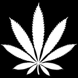 Black And White Weed Leaf