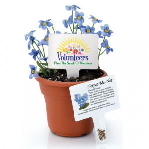 Home > Volunteers Plant The Seeds Of Kindness Seeded Garden Stakes