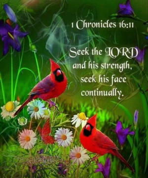 Seek the Lord and His Strength, seek His Face continually!- Nothing on ...
