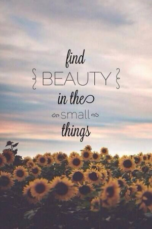 ... Quotes Beauty, Finding Beauty, Inspirational Quotes, Small Things