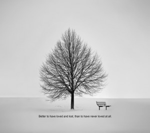 quote,quotes,words,mottos,aphorism,maxim,bench,tree,grey,lonely,love ...
