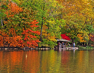 Central Park Lake - NYC