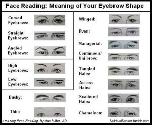 face reading what your eyebrow shape means eyebrows your mental ...