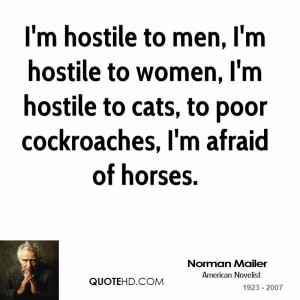 hostile to men, I'm hostile to women, I'm hostile to cats, to poor ...
