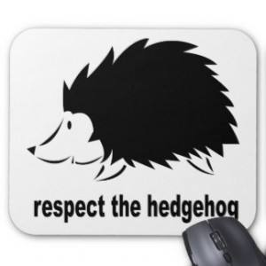 Hedgehog - Respect the Hedgehog Mouse Pad